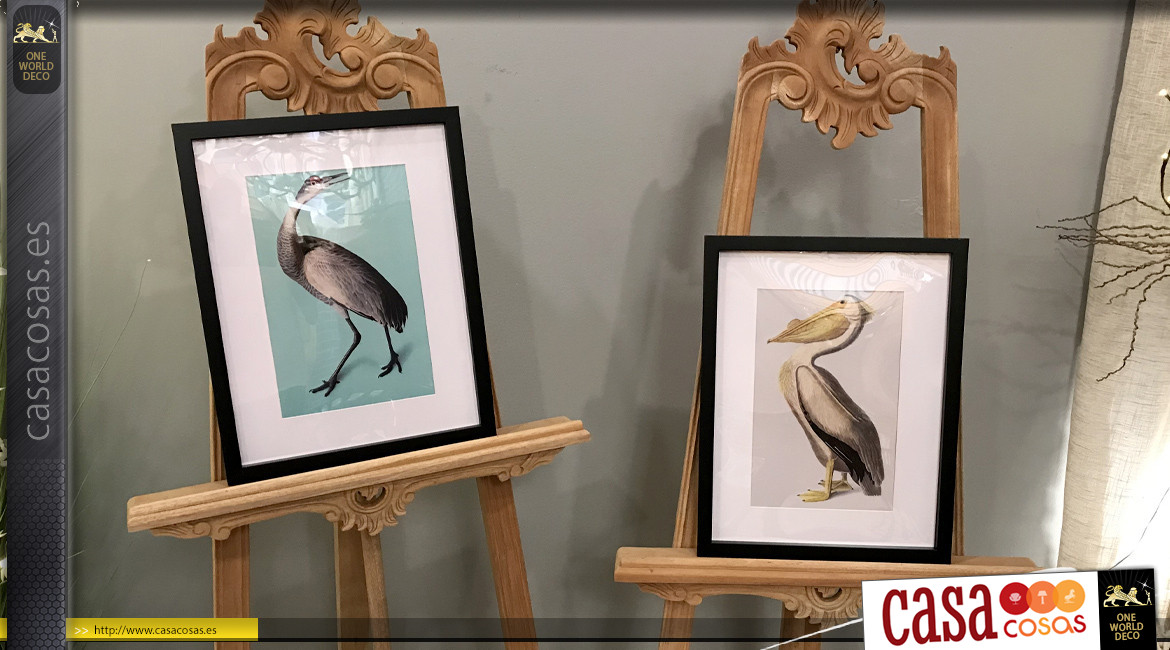 Serie de 4 cuadros de madera con impresiones bajo cristal de pájaros coloridos, 45cm.