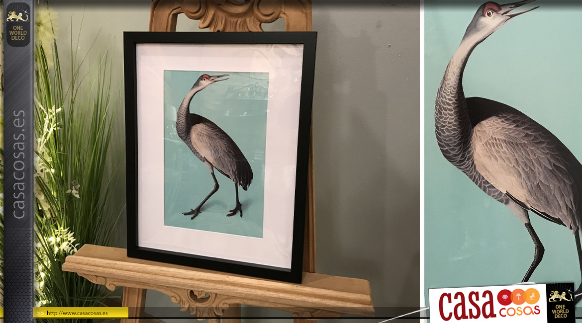 Serie de 4 cuadros de madera con impresiones bajo cristal de pájaros coloridos, 45cm.