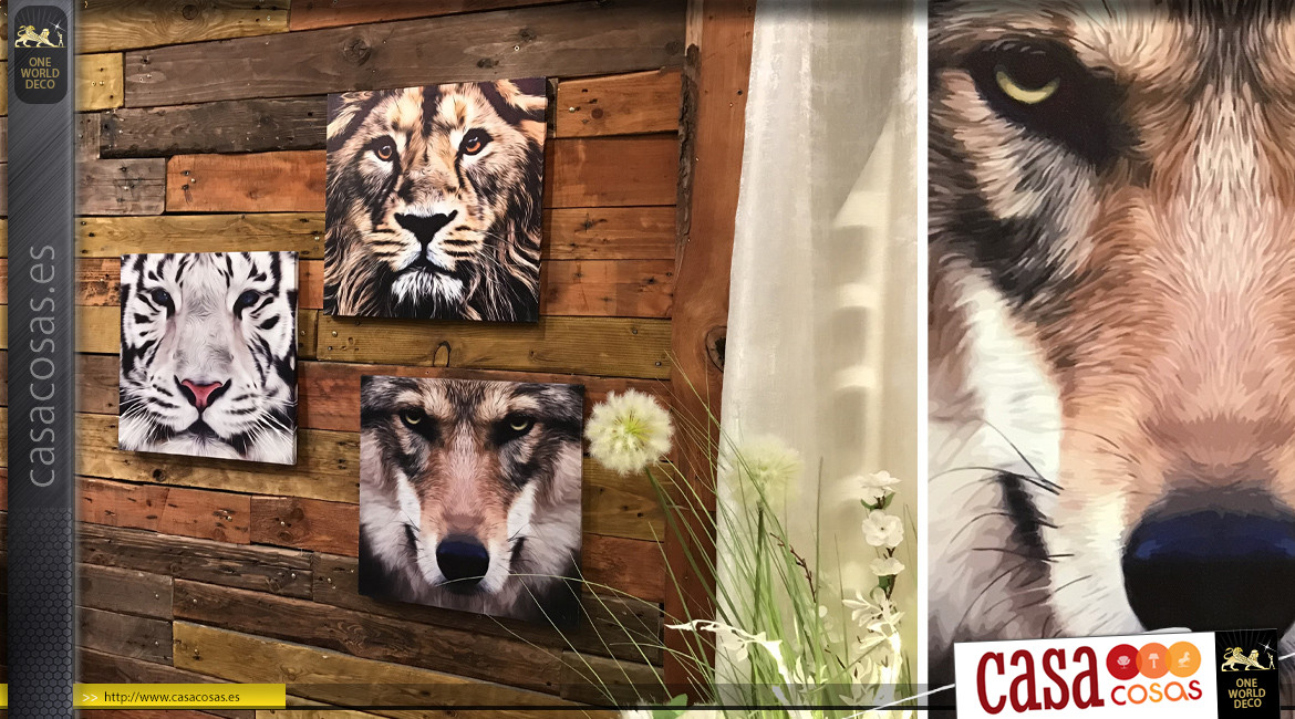 Serie de tres cuadros en marco de madera: lobo, león y tigre blanco 40 x 40 cm