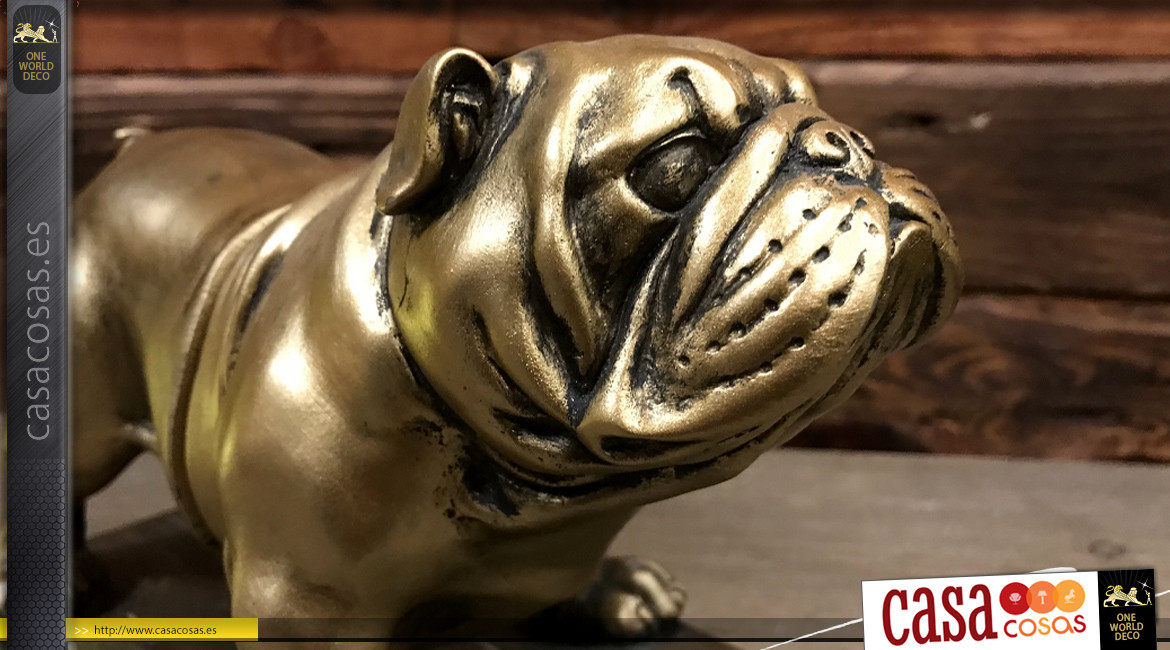 Par de sujetalibros originales de resina en forma de bulldog cortado por la  mitad, espíritu de magia, acabado oro viejo, 24cm